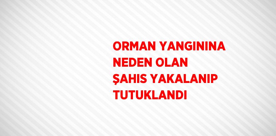 ORMAN YANGININA NEDEN OLAN ŞAHIS YAKALANIP TUTUKLANDI