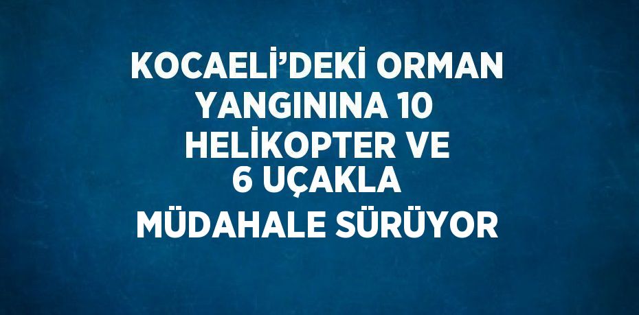 KOCAELİ’DEKİ ORMAN YANGININA 10 HELİKOPTER VE 6 UÇAKLA MÜDAHALE SÜRÜYOR
