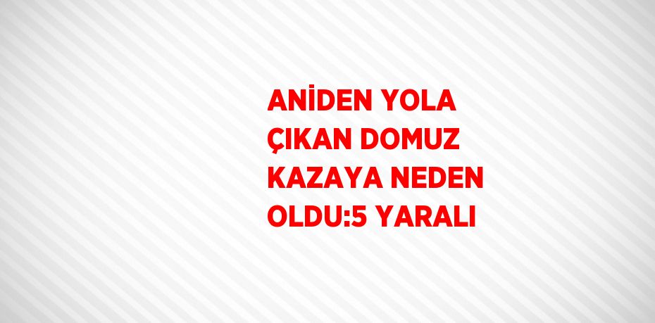 ANİDEN YOLA ÇIKAN DOMUZ KAZAYA NEDEN OLDU:5 YARALI
