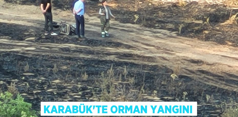 KARABÜK’TE ORMAN YANGINI