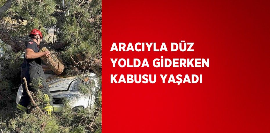ARACIYLA DÜZ YOLDA GİDERKEN KABUSU YAŞADI