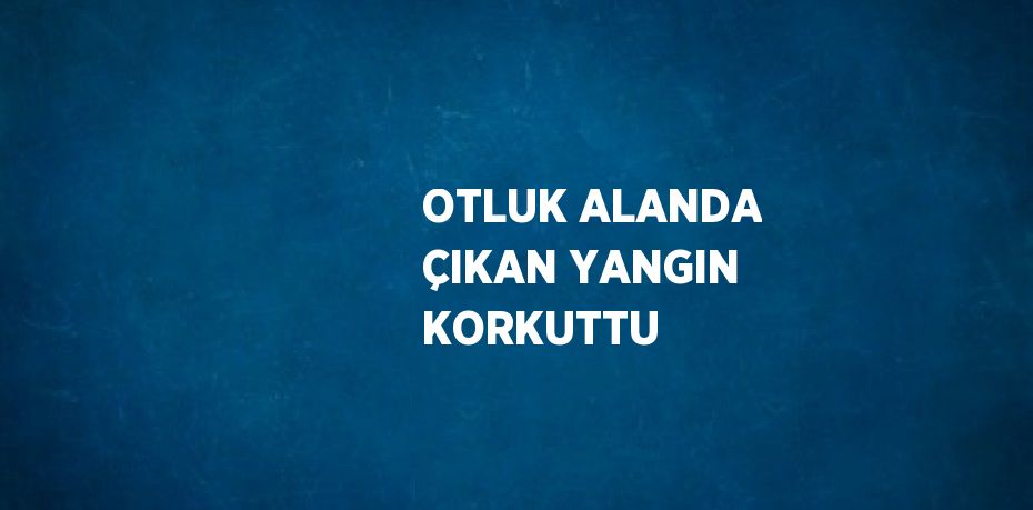 OTLUK ALANDA ÇIKAN YANGIN KORKUTTU