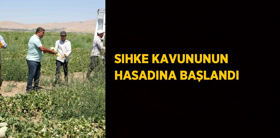 SIHKE KAVUNUNUN HASADINA BAŞLANDI