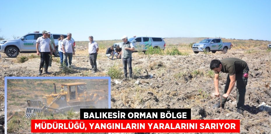 Balıkesir Orman Bölge Müdürlüğü, Yangınların Yaralarını Sarıyor