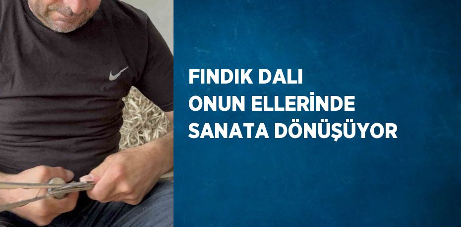 FINDIK DALI ONUN ELLERİNDE SANATA DÖNÜŞÜYOR