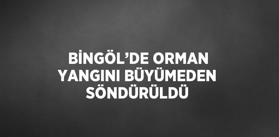 BİNGÖL’DE ORMAN YANGINI BÜYÜMEDEN SÖNDÜRÜLDÜ