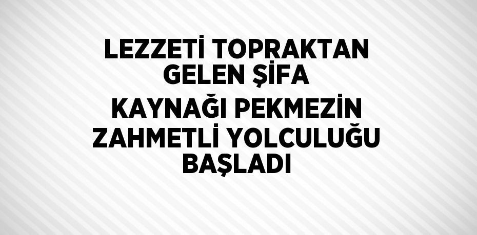 LEZZETİ TOPRAKTAN GELEN ŞİFA KAYNAĞI PEKMEZİN ZAHMETLİ YOLCULUĞU BAŞLADI