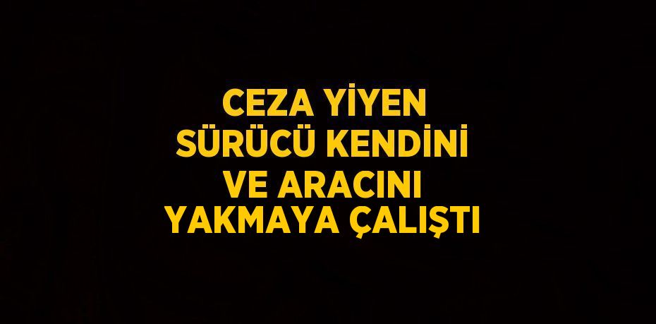 CEZA YİYEN SÜRÜCÜ KENDİNİ VE ARACINI YAKMAYA ÇALIŞTI