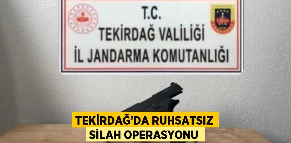 TEKİRDAĞ’DA RUHSATSIZ SİLAH OPERASYONU