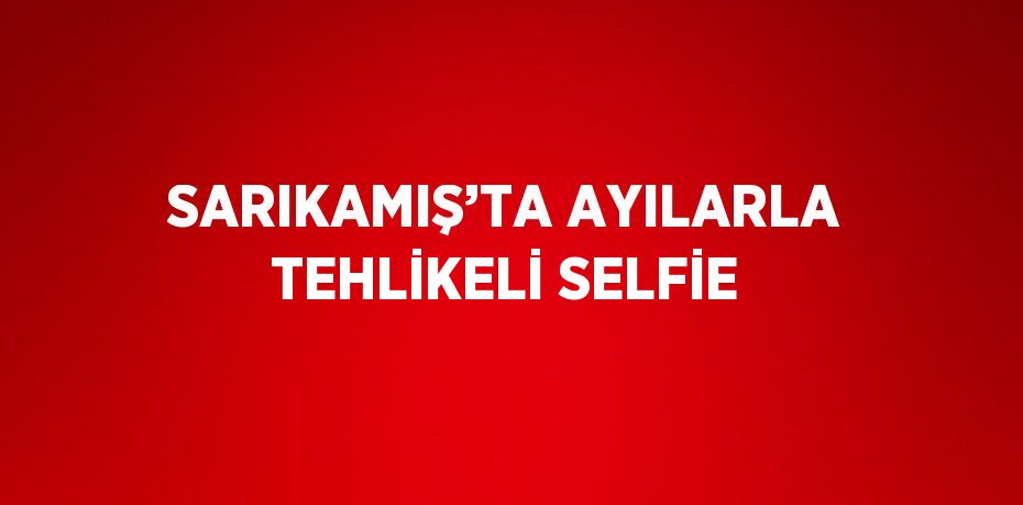 SARIKAMIŞ’TA AYILARLA TEHLİKELİ SELFİE