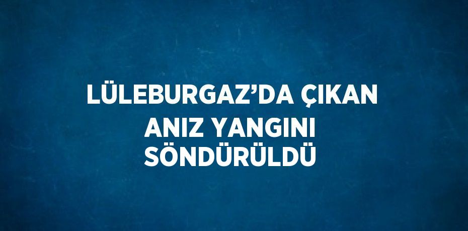 LÜLEBURGAZ’DA ÇIKAN ANIZ YANGINI SÖNDÜRÜLDÜ