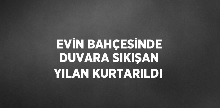 EVİN BAHÇESİNDE DUVARA SIKIŞAN YILAN KURTARILDI