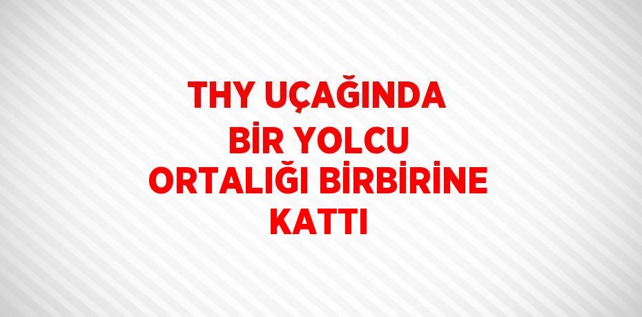 THY UÇAĞINDA BİR YOLCU ORTALIĞI BİRBİRİNE KATTI