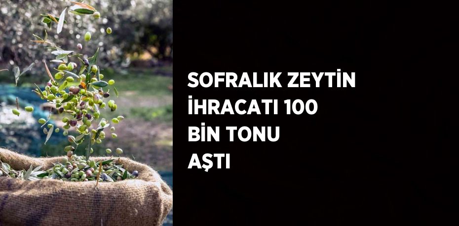 SOFRALIK ZEYTİN İHRACATI 100 BİN TONU AŞTI