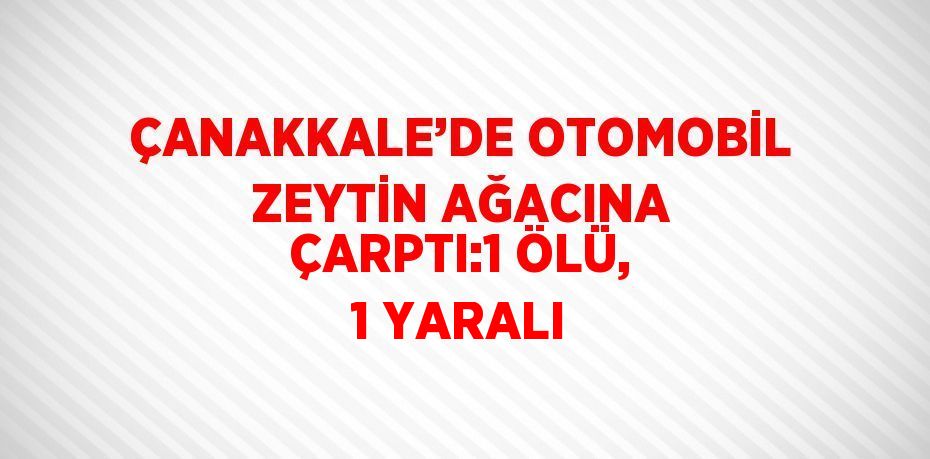 ÇANAKKALE’DE OTOMOBİL ZEYTİN AĞACINA ÇARPTI:1 ÖLÜ, 1 YARALI