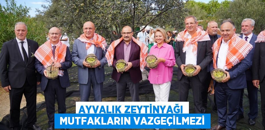 AYVALIK ZEYTİNYAĞI  MUTFAKLARIN VAZGEÇİLMEZİ