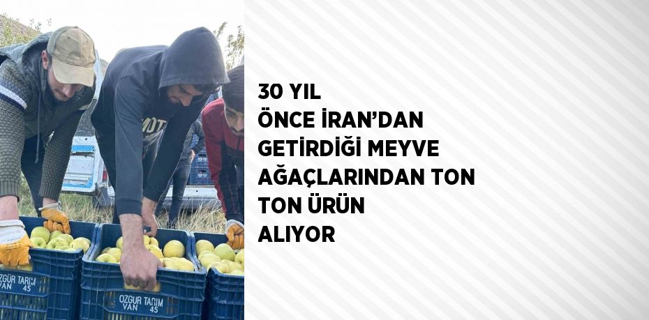 30 YIL ÖNCE İRAN’DAN GETİRDİĞİ MEYVE AĞAÇLARINDAN TON TON ÜRÜN ALIYOR