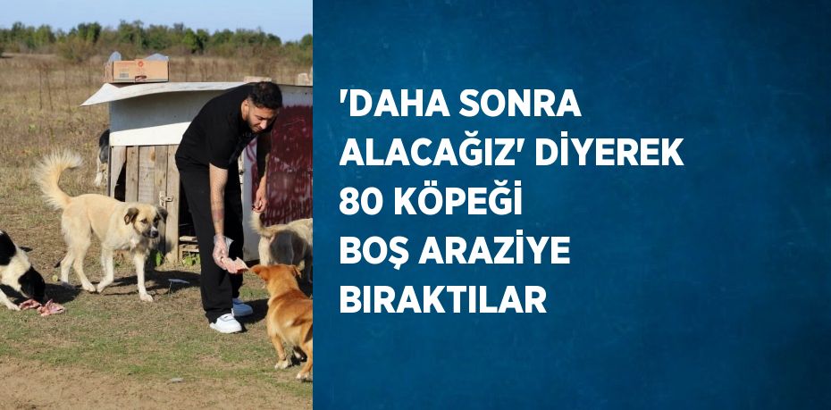 'DAHA SONRA ALACAĞIZ' DİYEREK 80 KÖPEĞİ BOŞ ARAZİYE BIRAKTILAR