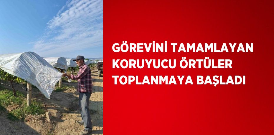 GÖREVİNİ TAMAMLAYAN KORUYUCU ÖRTÜLER TOPLANMAYA BAŞLADI