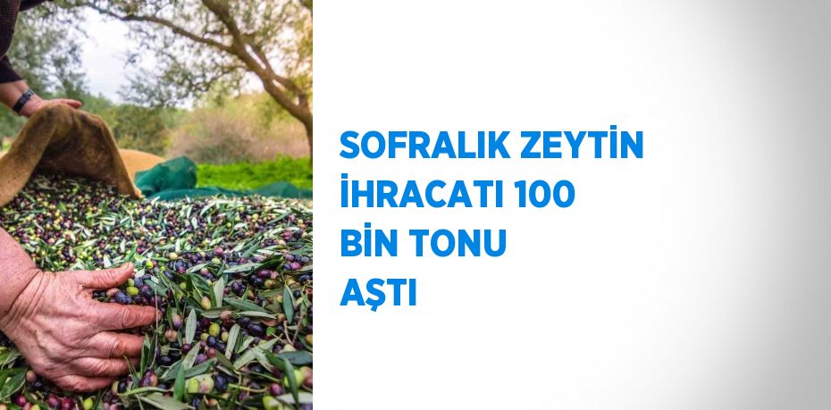 SOFRALIK ZEYTİN İHRACATI 100 BİN TONU AŞTI