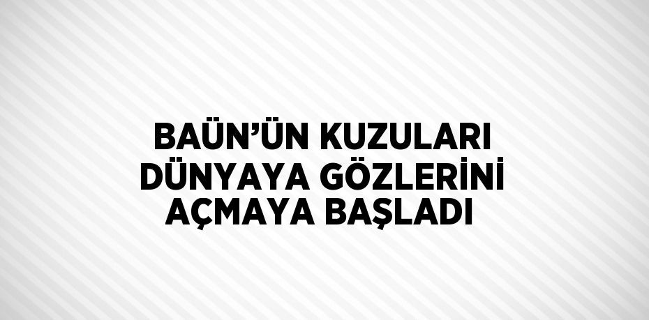 BAÜN’ÜN KUZULARI DÜNYAYA GÖZLERİNİ AÇMAYA BAŞLADI