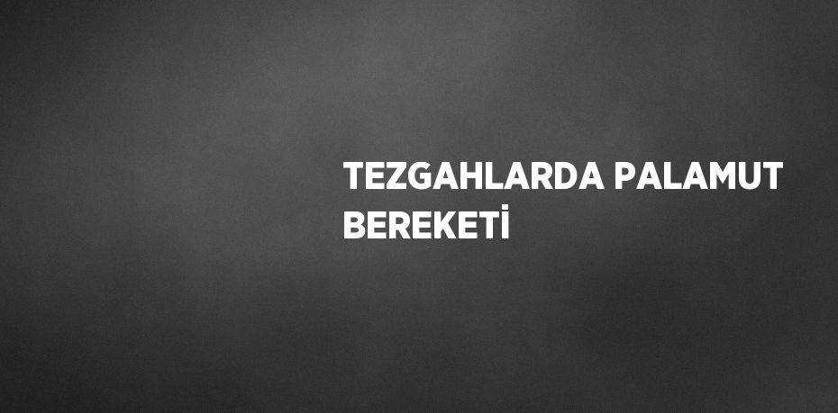 TEZGAHLARDA PALAMUT BEREKETİ