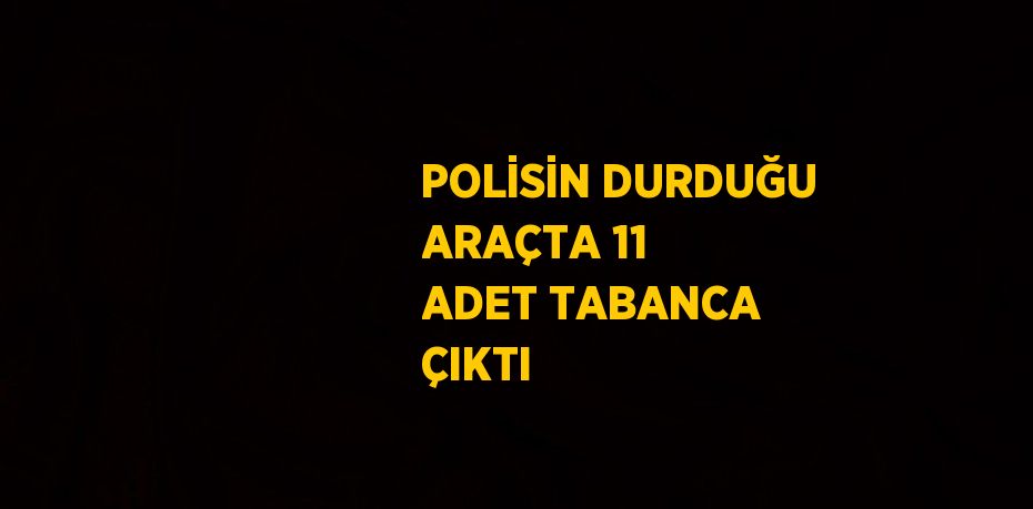 POLİSİN DURDUĞU ARAÇTA 11 ADET TABANCA ÇIKTI