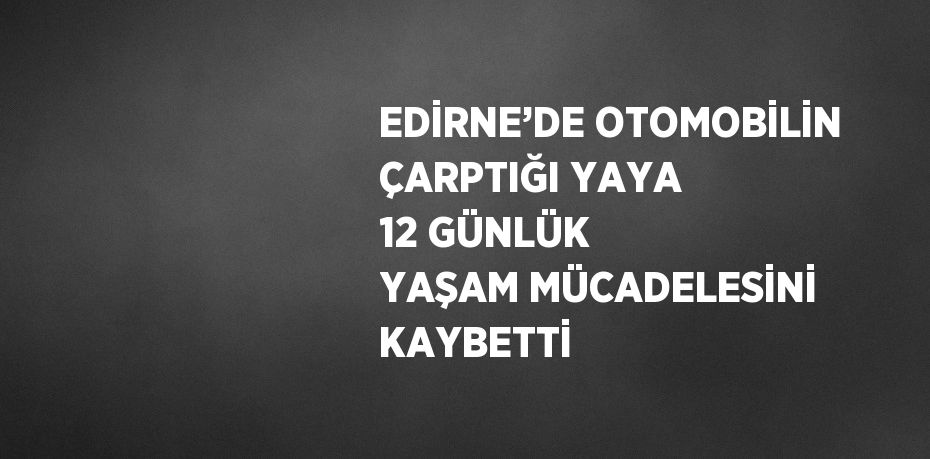 EDİRNE’DE OTOMOBİLİN ÇARPTIĞI YAYA 12 GÜNLÜK YAŞAM MÜCADELESİNİ KAYBETTİ