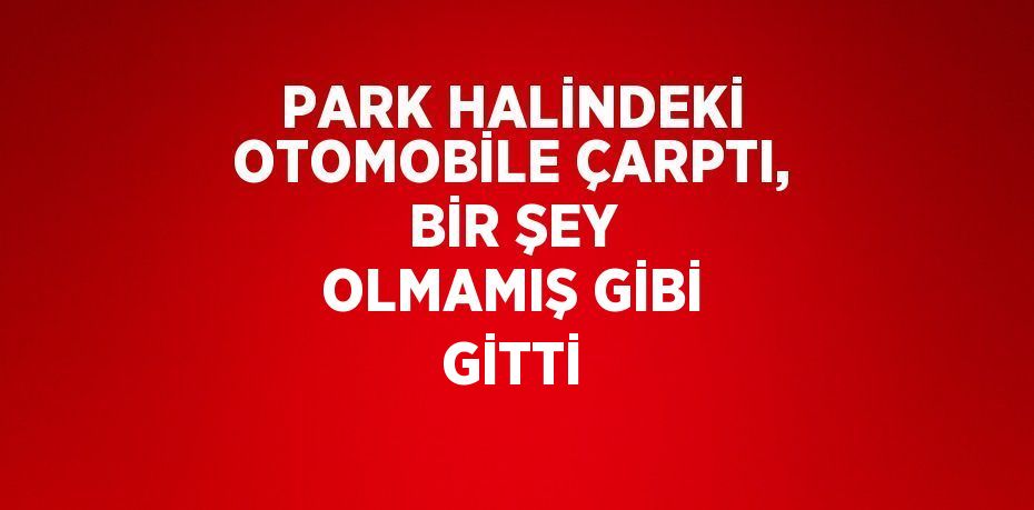 PARK HALİNDEKİ OTOMOBİLE ÇARPTI, BİR ŞEY OLMAMIŞ GİBİ GİTTİ