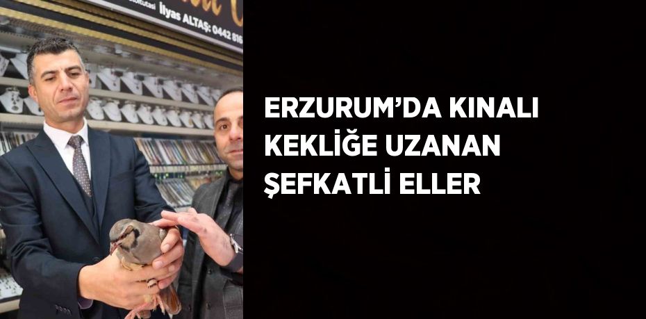 ERZURUM’DA KINALI KEKLİĞE UZANAN ŞEFKATLİ ELLER