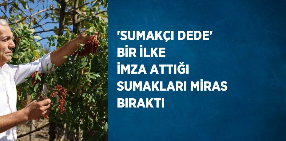 'SUMAKÇI DEDE' BİR İLKE İMZA ATTIĞI SUMAKLARI MİRAS BIRAKTI