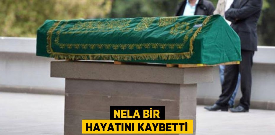 NELA BİR HAYATINI KAYBETTİ