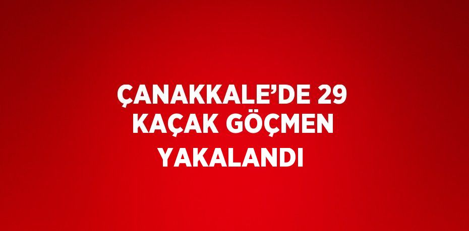 ÇANAKKALE’DE 29 KAÇAK GÖÇMEN YAKALANDI