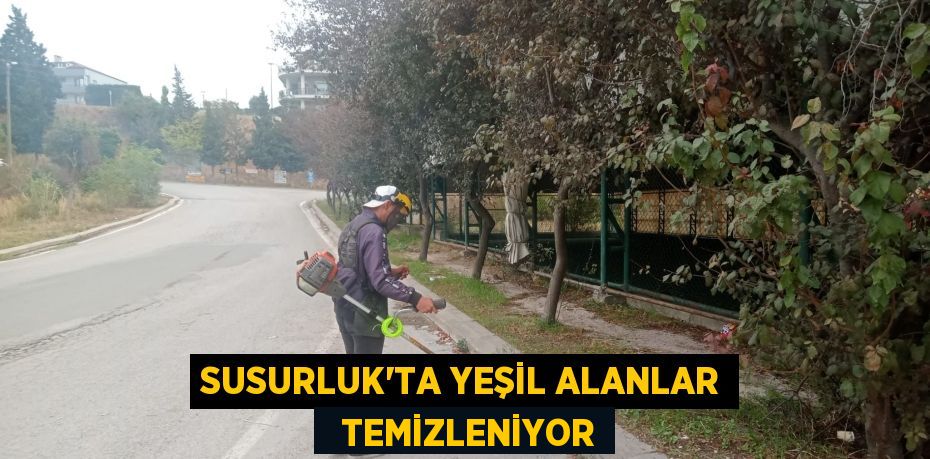 SUSURLUK’TA YEŞİL ALANLAR   TEMİZLENİYOR