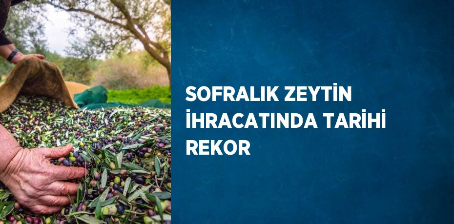 SOFRALIK ZEYTİN İHRACATINDA TARİHİ REKOR