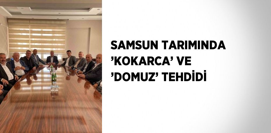 SAMSUN TARIMINDA ’KOKARCA’ VE ’DOMUZ’ TEHDİDİ