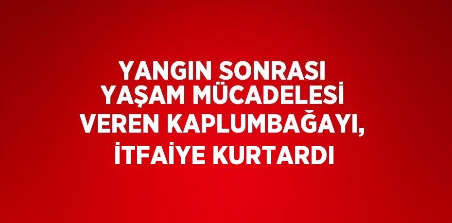 YANGIN SONRASI YAŞAM MÜCADELESİ VEREN KAPLUMBAĞAYI, İTFAİYE KURTARDI