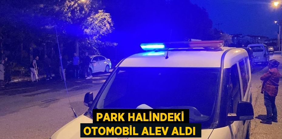 PARK HALİNDEKİ OTOMOBİL ALEV ALDI