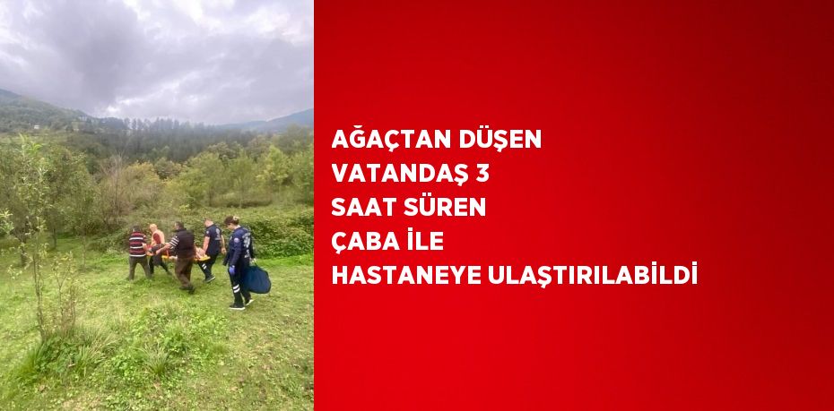 AĞAÇTAN DÜŞEN VATANDAŞ 3 SAAT SÜREN ÇABA İLE HASTANEYE ULAŞTIRILABİLDİ