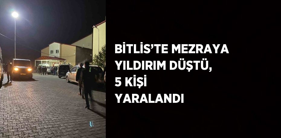 BİTLİS’TE MEZRAYA YILDIRIM DÜŞTÜ, 5 KİŞİ YARALANDI