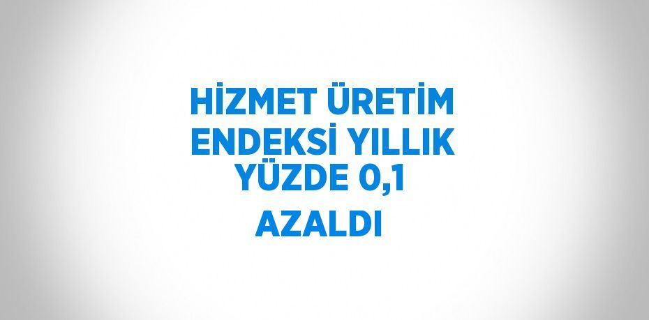 HİZMET ÜRETİM ENDEKSİ YILLIK YÜZDE 0,1 AZALDI