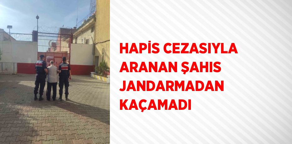 HAPİS CEZASIYLA ARANAN ŞAHIS JANDARMADAN KAÇAMADI