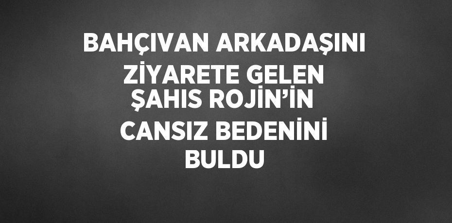 BAHÇIVAN ARKADAŞINI ZİYARETE GELEN ŞAHIS ROJİN’İN CANSIZ BEDENİNİ BULDU