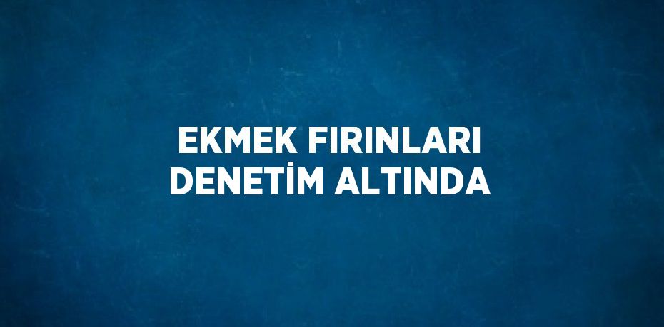 EKMEK FIRINLARI DENETİM ALTINDA