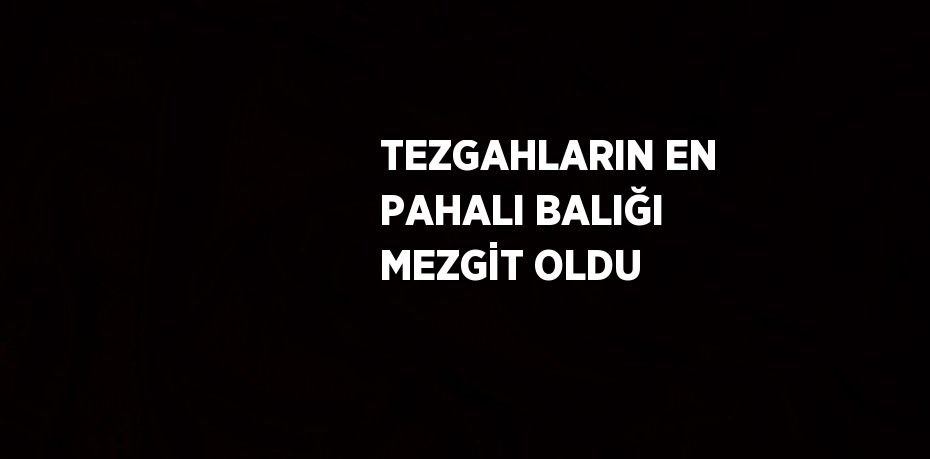 TEZGAHLARIN EN PAHALI BALIĞI MEZGİT OLDU