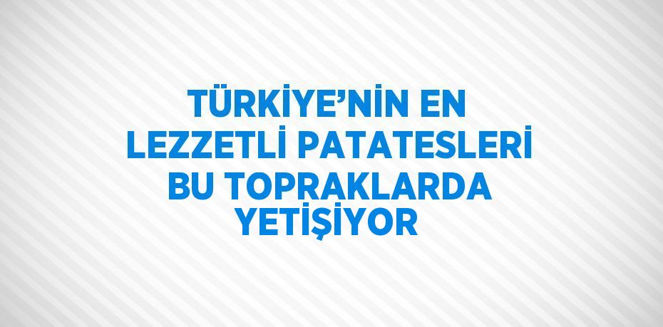 TÜRKİYE’NİN EN LEZZETLİ PATATESLERİ BU TOPRAKLARDA YETİŞİYOR