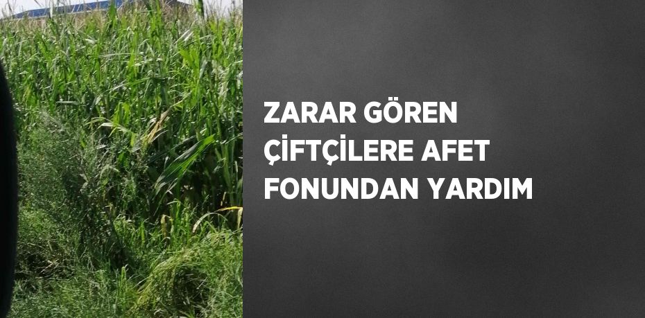 ZARAR GÖREN ÇİFTÇİLERE AFET FONUNDAN YARDIM