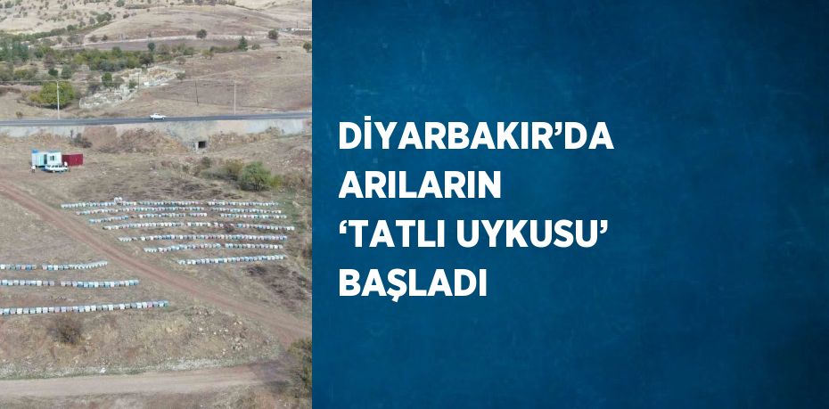 DİYARBAKIR’DA ARILARIN ‘TATLI UYKUSU’ BAŞLADI