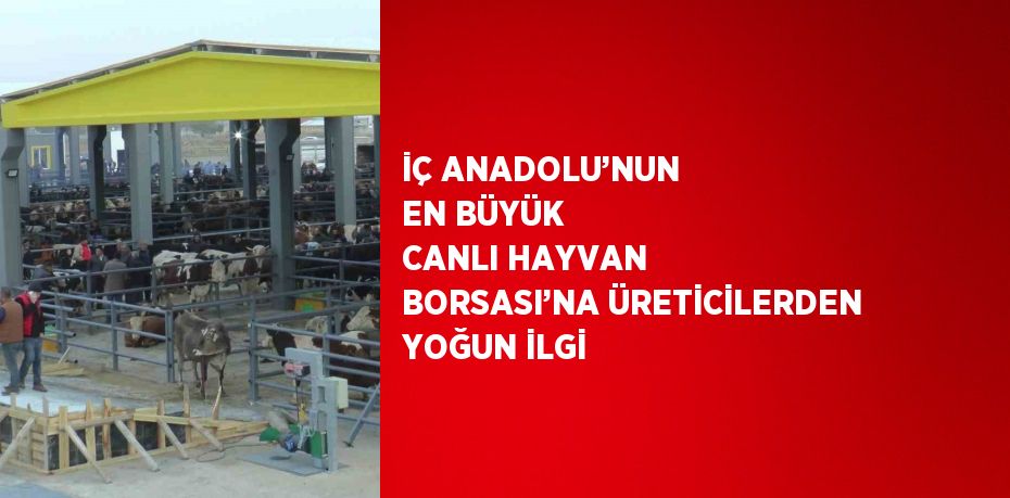 İÇ ANADOLU’NUN EN BÜYÜK CANLI HAYVAN BORSASI’NA ÜRETİCİLERDEN YOĞUN İLGİ