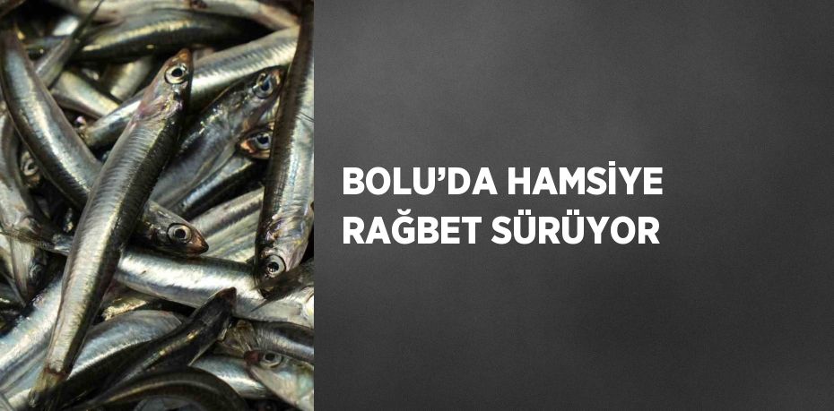 BOLU’DA HAMSİYE RAĞBET SÜRÜYOR